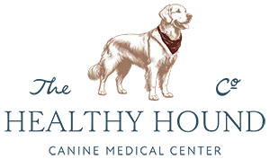 brand art from The Healthy Hound Company in Chattanooga TN