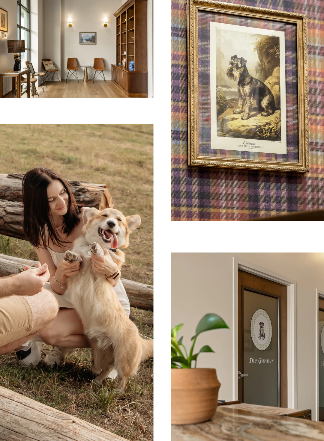 veterinary services for dogs from The Healthy Hound Company in Chattanooga TN