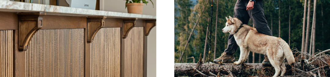 dog veterinary care services from The Healthy Hound Company in Chattanooga TN