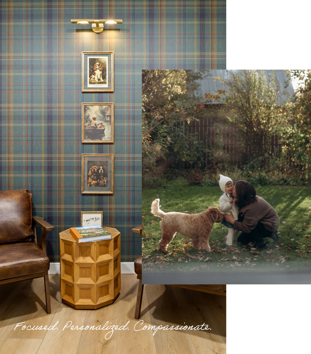 veterinary services for canines from The Healthy Hound Company in Chattanooga TN