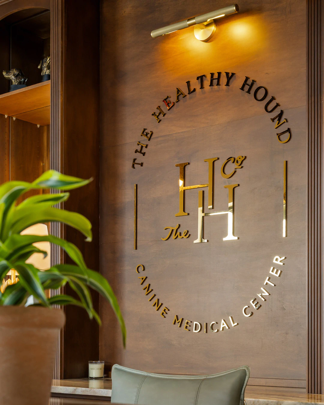 dog care services from The Healthy Hound Company in Chattanooga TN