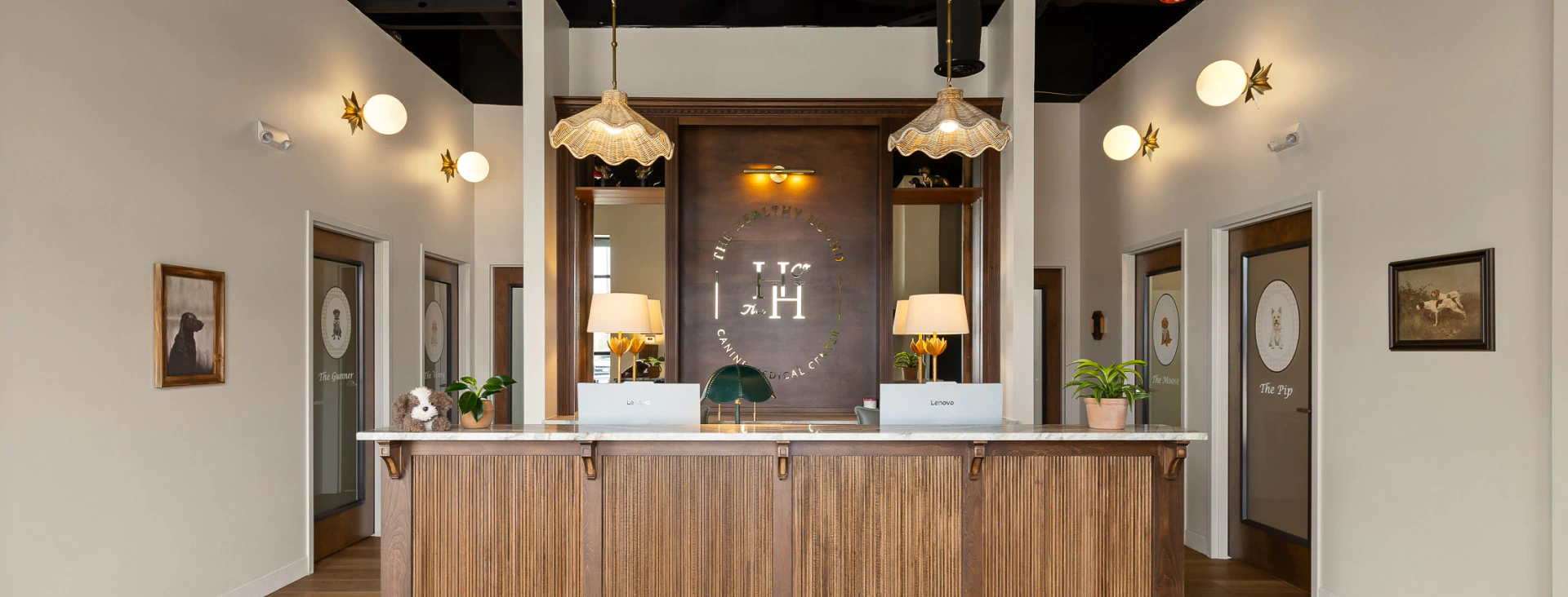 vet services for dogs from The Healthy Hound Company in Hixson TN