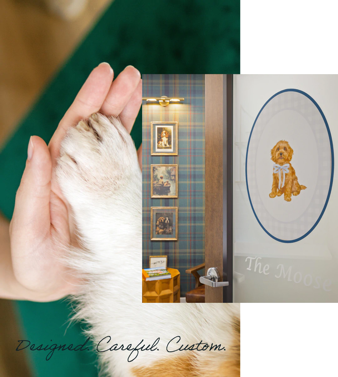 veterinary treatments exclusively for dogs from The Healthy Hound Company in Chattanooga TN